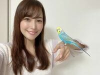 「美しいです」「とにかくなまら可愛い」鷲見玲奈、インコを手に乗せたセルフショットに称賛の声