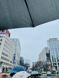 だいたひかる『病院へ』