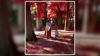 【映像】真っ赤に染まる紅葉の下に母子2人 撮影風景と写真の比較