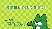 おしえてアベマくん「招き猫はどうして猫なの?」 | 無料のインターネットテレビは【AbemaTV(アベマTV)】