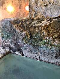 広田レオナ『焦ったって仕様がないんだよね〜』