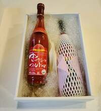 モト冬樹『義理堅い島崎和歌子ちゃん』