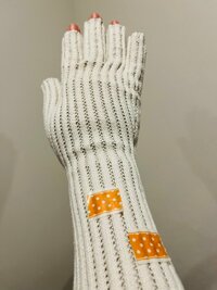 だいたひかる『手術の詳細と切った場所』