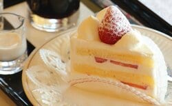 「苺が大きいね」藤井聡太王将は“王道”イチゴショートケーキ注文 菅井竜也八段はドリンクのみ／将棋・王将戦七番勝負第1局