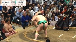 「女将さんお綺麗」「美人が映ってると思ったら…」大相撲、客席に“凛”とした女性の姿 ひと際目立つ存在感に熱視線