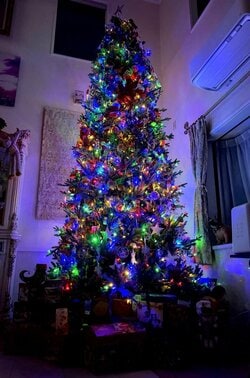 北斗晶、自宅に設置した“巨大”クリスマスツリーを公開し「羨ましい～」「めちゃくちゃ綺麗」など反響