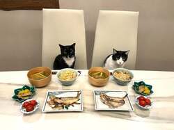  藤あや子、故郷・秋田の品で作った料理「感謝しながらいただきました」