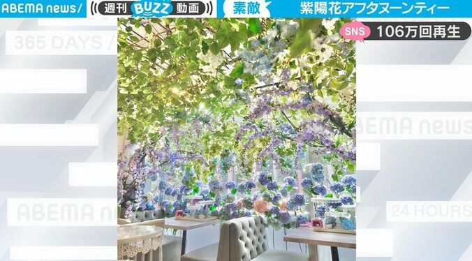 インスタ映え確実！ 紫陽花に囲まれたアフタヌーンティースポットがSNSで話題に 「夢のような空間」「これは美しすぎる」 1枚目