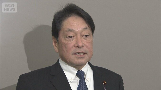 自民党　小野寺安保調査会長