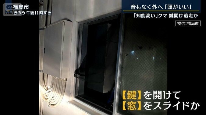 窓