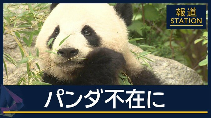 半世紀ぶり“パンダ不在”の国に…上野動物園の双子が来月中国に返還 1枚目