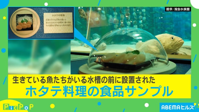 タブーではなかった!? 水族館での“斬新な展示物”が話題 担当者「水産資源の大切さを理解してもらうため」 1枚目