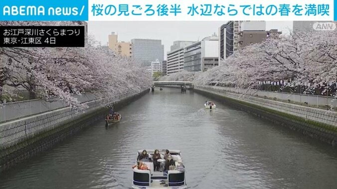 お江戸深川さくらまつり