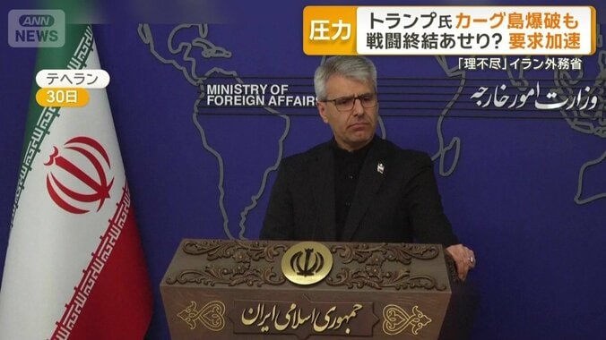 イラン外務省の報道官