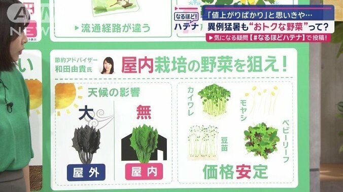 価格高騰の中でお得にサラダを作る方法（2）