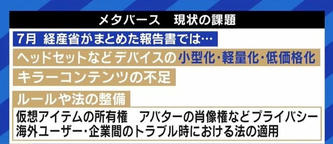 「1日の大半をバーチャル空間で過ごす人が増えると思う」流行りは一過性?「メタバース協会」批判をどう見ている? 当事者の本音 8枚目