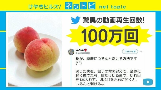 切れ目からツルンと！ 100万回再生の「桃の皮をきれいにむく」動画を検証 1枚目