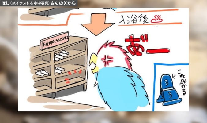 ほしさんの投稿