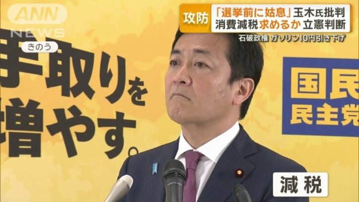 国民民主党の玉木雄一郎代表