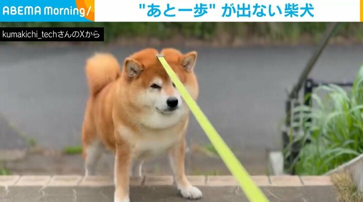 クマキチくん