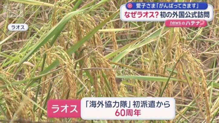 日本式の稲作を伝える