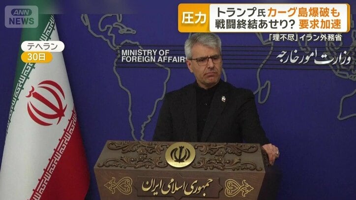 イラン外務省の報道官