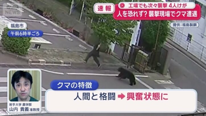 「視野に入った人間を次々襲う」個体もいるという