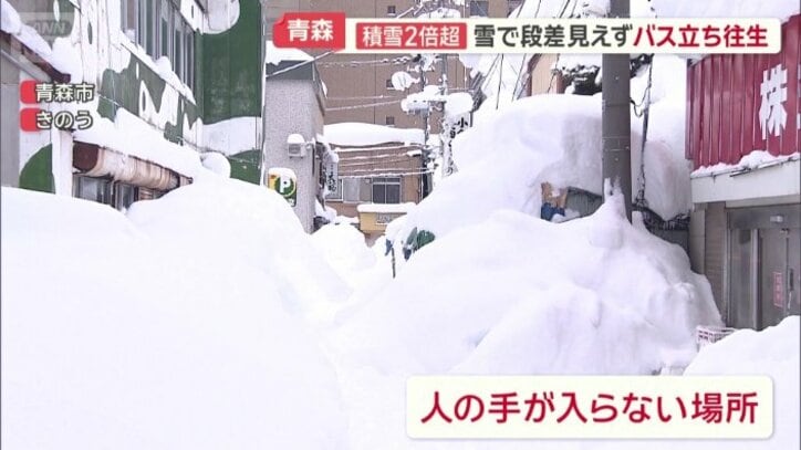 人の手が入らない場所