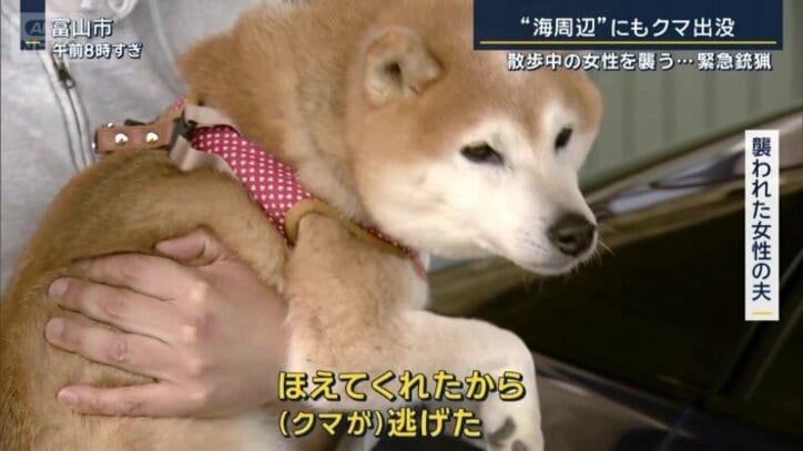 襲われた女性の夫