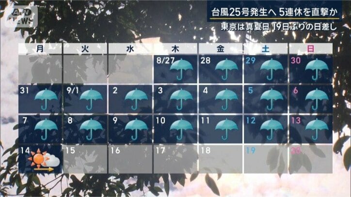 雨続きの東京