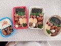 辻希美、流れで家族皆に作った弁当「ご馳走様でしたぁ」