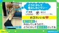 飼い主の靴下を必死に脱がそうとするイヌが話題 投稿者「外出するのがわかっているのかも」