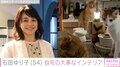 石田ゆり子、大事にしているインテリアが置かれた自宅写真を公開「形も色もすごくすてき」「ゆりごろう王国にぴったり」と反響