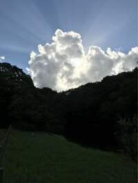 小林麻耶『感謝の気持ち』