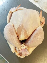 ニッチェ 江上敬子『勢いで。。』