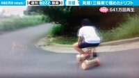【映像】神業的なドリフトを決める三輪車