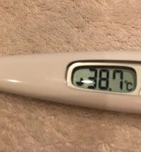 広田レオナ『仕事人間』