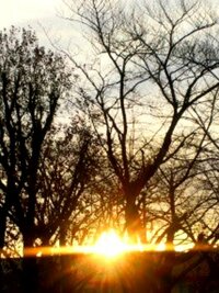 古村比呂『子宮頸がんと１０年と⑥』