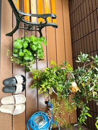 堀ちえみ『23で母になった頃のわたし』