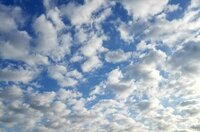 モト冬樹『玉森裕太君と小山慶一郎君』