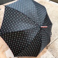 堀ちえみ『朝ののんびりとした時間』