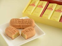 渡辺徹『年に一度妻の好物』