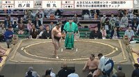 【映像】“自ら”ヒザを入れ直す力士「衝撃の瞬間」