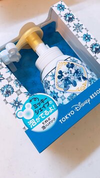 細川直美『ディズニーのお土産』