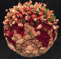 假屋崎省吾『たこ焼き いけばな 本邦初‼️』