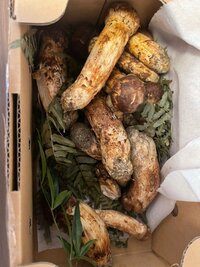 高橋真麻『昼から豪華！』