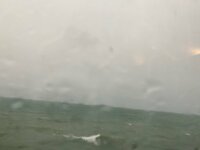 Seiko Darvish『雨』