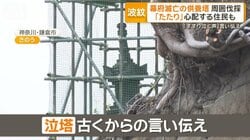 幕府滅亡の供養塔周囲の木を鎌倉市が伐採　住民「うっそうと茂ってたのに…」