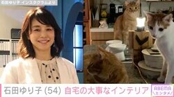 石田ゆり子、大事にしているインテリアが置かれた自宅写真を公開「形も色もすごくすてき」「ゆりごろう王国にぴったり」と反響