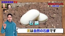 フライパン洗いにも使える？ナスD「泥は自然の石鹸」説を語る